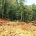 CSOs Press on Repeal of L.I. 2462 13 Atewa Forest