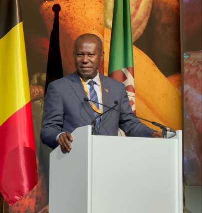 Cocoa's Sustainability Struggle, Economic and Ethical Dilemmas 2 Boahen Aidoo