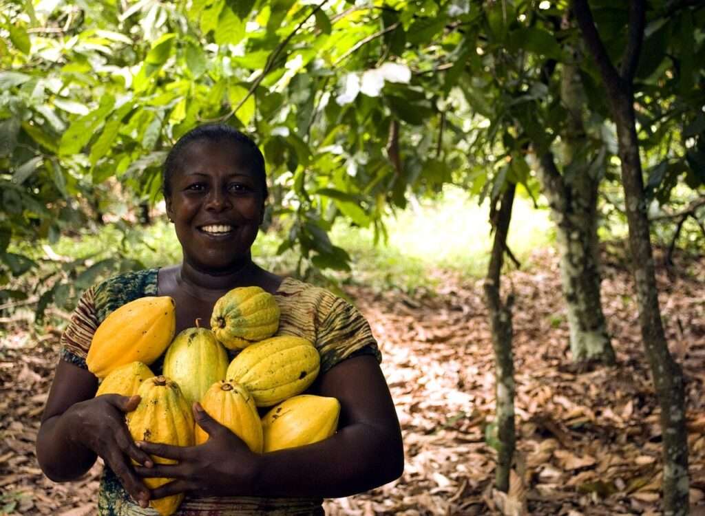 Cocoa Farmer