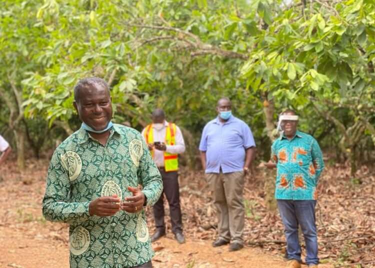 COCOBOD CEO Lambasts MIGOP for Mining Cocoa Farms 1 Cocobod CEO Inspects Cocoa Farms