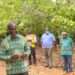 COCOBOD CEO Lambasts MIGOP for Mining Cocoa Farms 11 Cocobod CEO Inspects Cocoa Farms