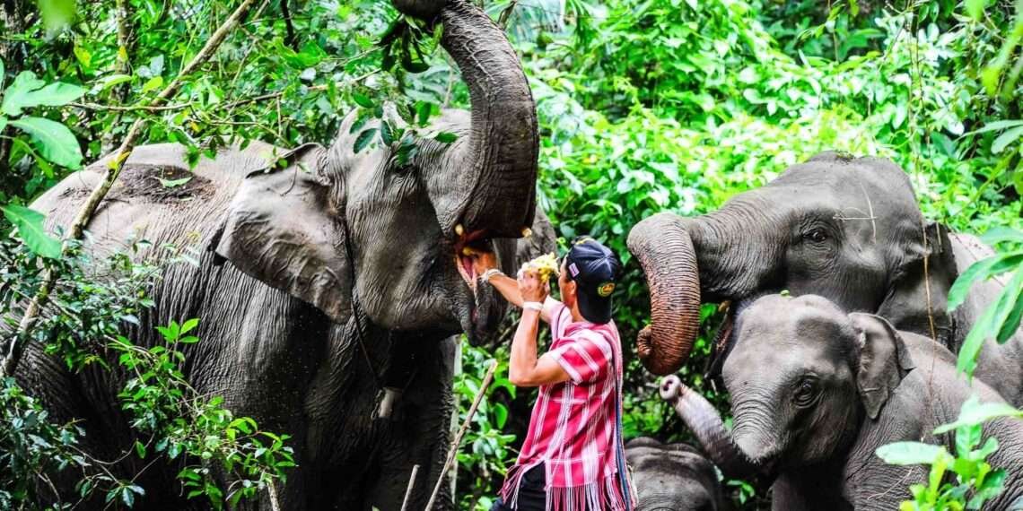 World Bank Suspends Tanzania Tourism Fund Amid Allegations of Misuse