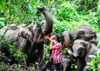 World Bank Suspends Tanzania Tourism Fund Amid Allegations of Misuse