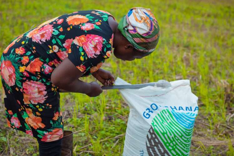 A woman cutting open a fertilizer bag