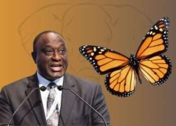 MFC Hook up with NIM to Break NPP-NDC Duopoly