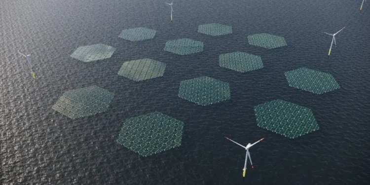 Illustration of an Offshore Wind Farm combined with floating solar, which will be constructed by Anansi off the coasts of Ningo and Anloga