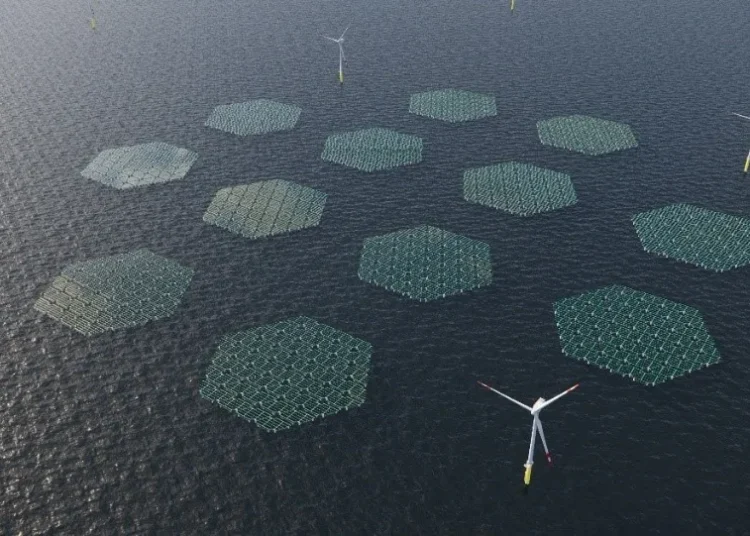 NEK's Anansi Initiative, Ghana's Green Energy Revolution 1 Illustration of an Offshore Wind Farm combined with floating solar, which will be constructed by Anansi off the coasts of Ningo and Anloga