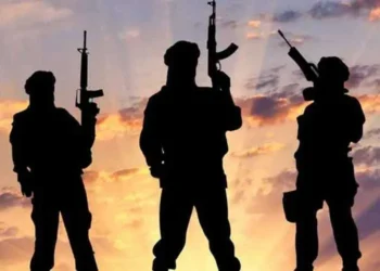 CISA Urges New Counterterrorism Laws to Address Youth Extremism 4 CISA Urges New Counterterrorism Laws to Address Youth Extremism
