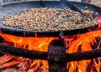 AfDB, Global Leaders Spearhead Clean Cooking in Africa Summit