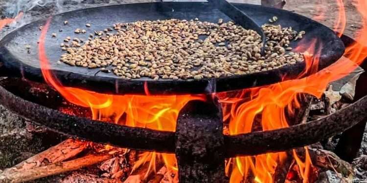 AfDB, Global Leaders Spearhead Clean Cooking in Africa Summit