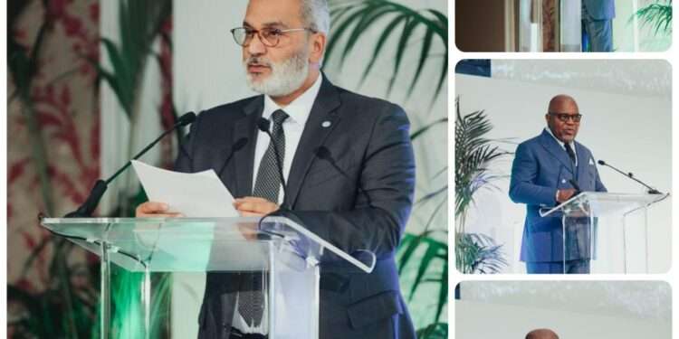 Second Annual Invest in African Energy Forum Opens in Paris 1 African energy invest