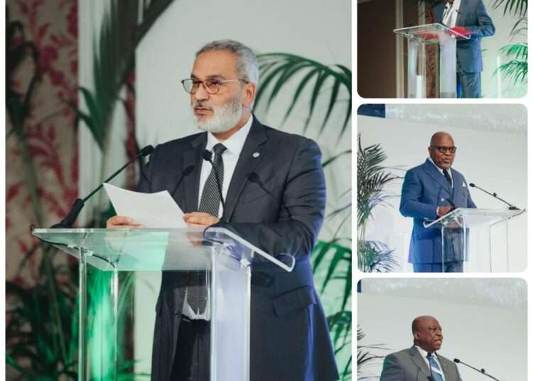 Second Annual Invest in African Energy Forum Opens in Paris 1 African energy invest