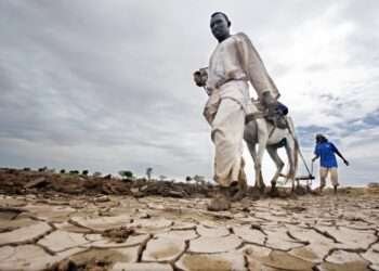 Urgent Call for Climate Adaptation in West Africa 4 Urgent Call for Climate Adaptation in West Africa