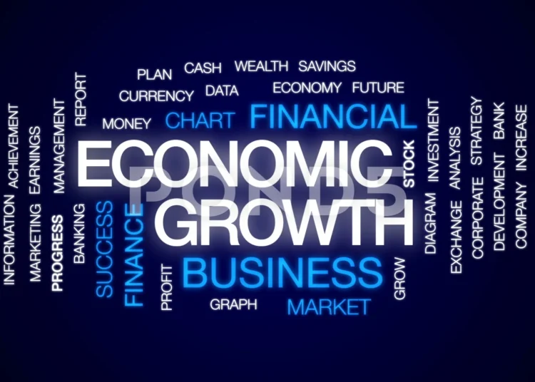 Economist Calls for Sustainable Measures Beyond IMF Support 1 Economic Growth