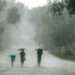 Heavy Rainfall