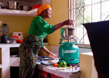 Mobilizing Clean Cooking Solutions Across Africa
