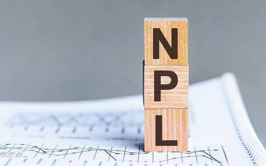 Nonperforming Loan