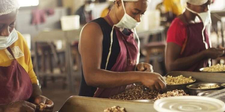 SMEs Spearhead Economic Growth, Minister Boosts Support 1 File photo