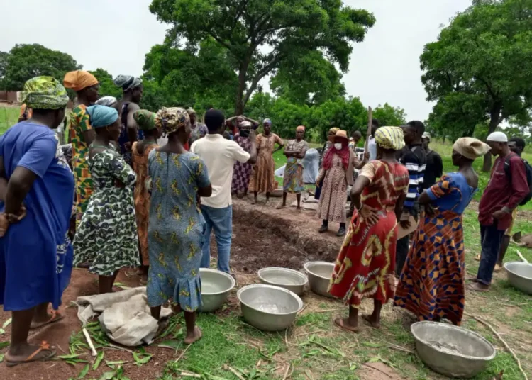 CSIR-SARI Promotes Compost and Biochar Technology Among Smallholder Farmers
