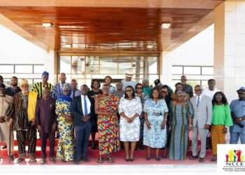 NCCE Briefs Council of State on Civic Plans for 2024