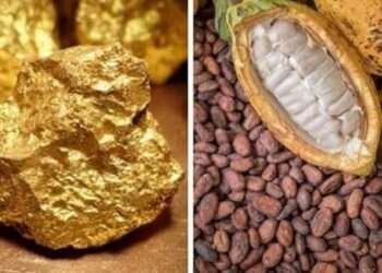 Ghana's Gold Exports Surge Amid Declines in Crude Oil, Cocoa, and Timber 1 Ghana's Gold Exports Surge Amid Declines in Crude Oil, Cocoa, and TimberGhana's Gold Exports Surge Amid Declines in Crude Oil, Cocoa, and Timber