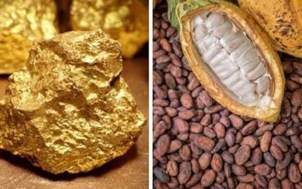 Ghana's Gold Exports Surge Amid Declines in Crude Oil, Cocoa, and Timber 1 Ghana's Gold Exports Surge Amid Declines in Crude Oil, Cocoa, and TimberGhana's Gold Exports Surge Amid Declines in Crude Oil, Cocoa, and Timber