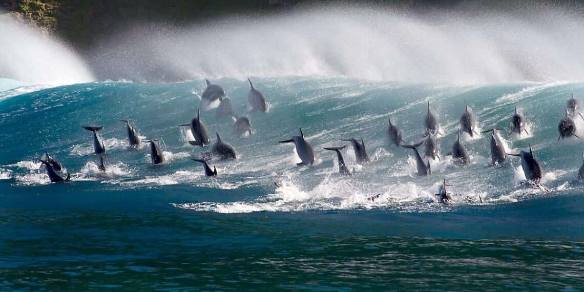 Protecting the Blue Planet Against Rising Threats 1 Blue Planet