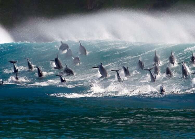 Protecting the Blue Planet Against Rising Threats 1 Blue Planet