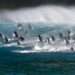 Protecting the Blue Planet Against Rising Threats 12 Blue Planet