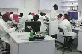 Medical Laboratory Professional Workers