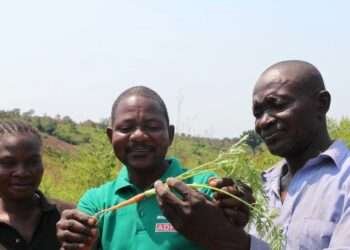 Some of the beneficiaries of the program