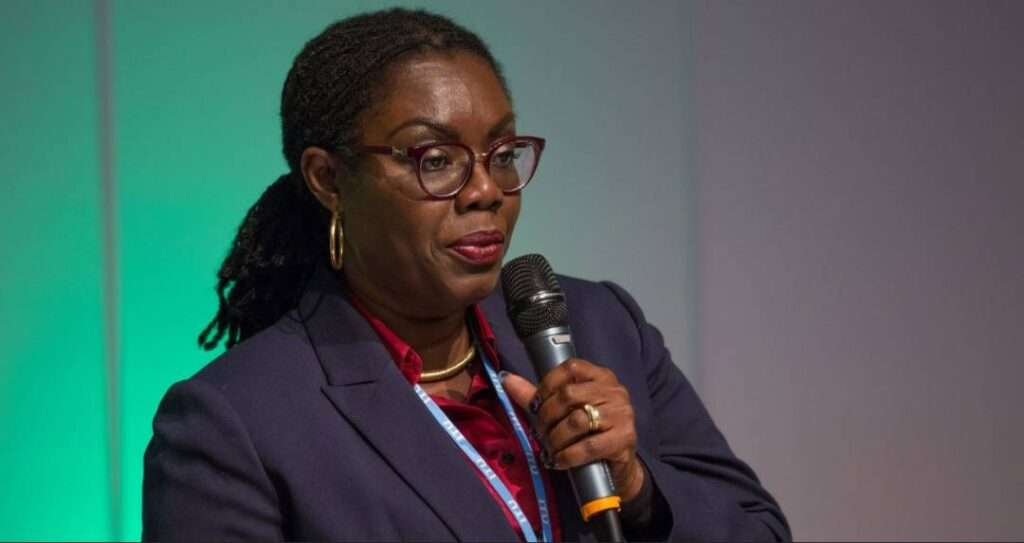 Ursula Owusu Ekuful Communications Minister