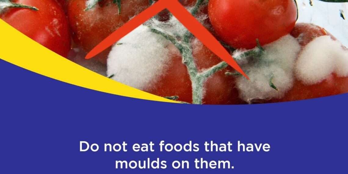 WhatsApp Image 2024 06 10 at 12.27.56 PM