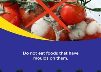 WhatsApp Image 2024 06 10 at 12.27.56 PM