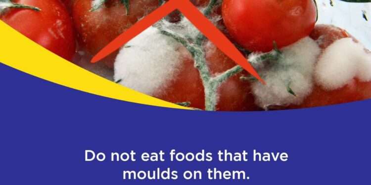 FDA Unites Stakeholders to Protect Ghana's Food Safety 1 WhatsApp Image 2024 06 10 at 12.27.56 PM