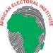 The African Electoral Institute (AEI)