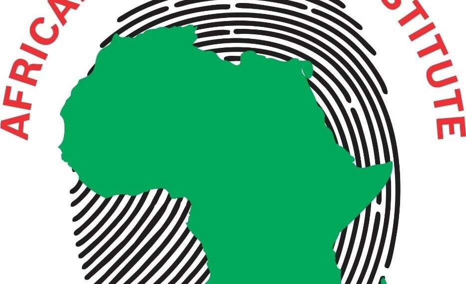 The African Electoral Institute (AEI)