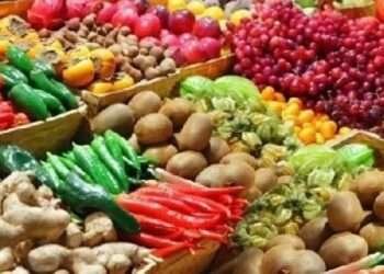 Ghana's Agricultural Paradox: a Fertile Land of Food Imports   1 Ghana’s Agricultural Paradox: a Fertile Land of Food Imports