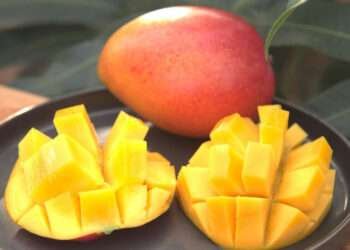 Ministry of Food and Agriculture Sets First Minimum Producer Price for Mangoes