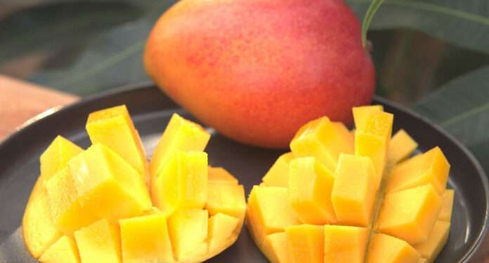 Ministry of Food and Agriculture Sets First Minimum Producer Price for Mangoes 1 Ministry of Food and Agriculture Sets First Minimum Producer Price for Mangoes