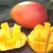 Ministry of Food and Agriculture Sets First Minimum Producer Price for Mangoes