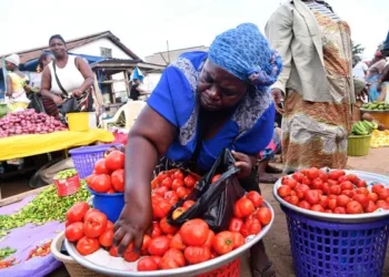 GAWU Attributes Shortage of Vegetables to Galamsey 3 market ghana news compressed