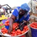 market ghana news compressed