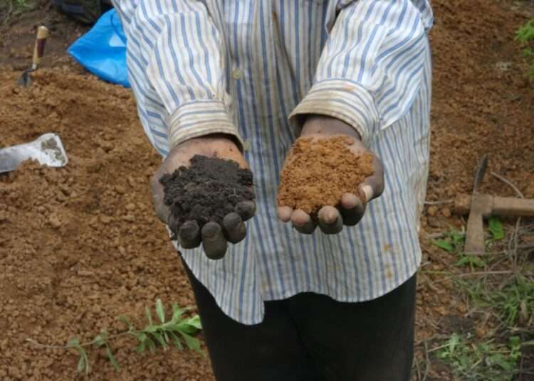 African Farmers Blame Chemical Fertilizers for Dying Soil