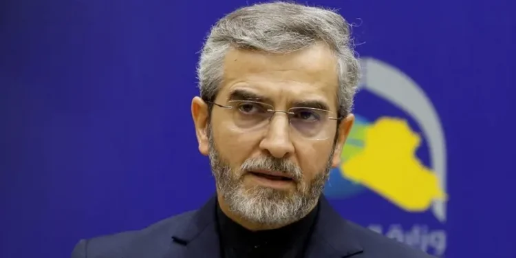 Iran’s acting Foreign Minister, Ali Bagheri-Kani.