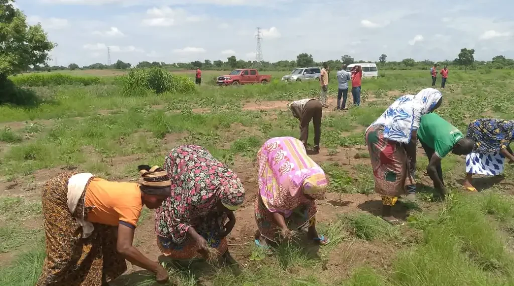 Absa Young Africa Works Project Boosts Agricultural Production and Job Opportunities