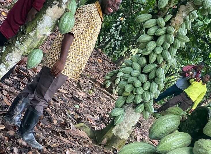 COCOBOD CEO Advocates for Modern Farming Practices to Boost Cocoa Production in Ghana