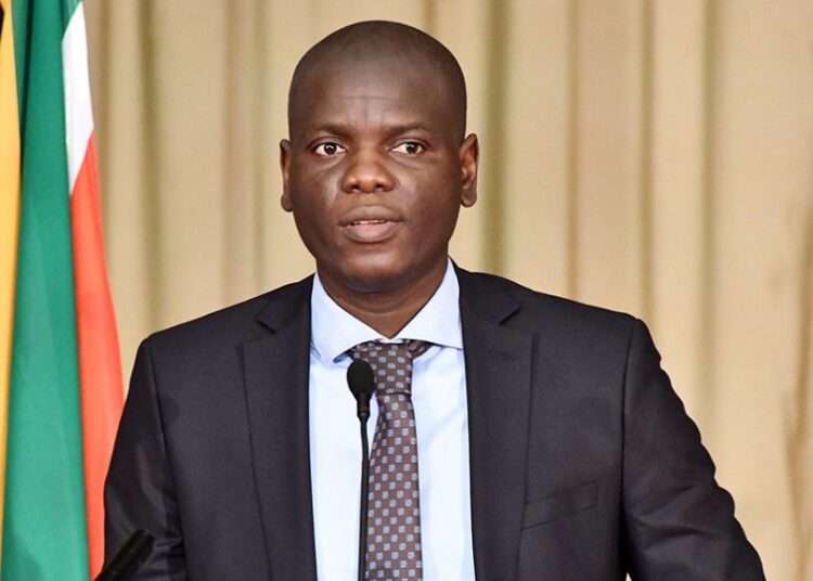 Lamola Vows to Continue Strong Stance on Palestine and Africa 1 Ronald Lamola