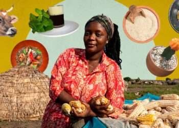 Empowering Women Farmers: FAO and Chef Binta Boost Fonio Production in Ghana