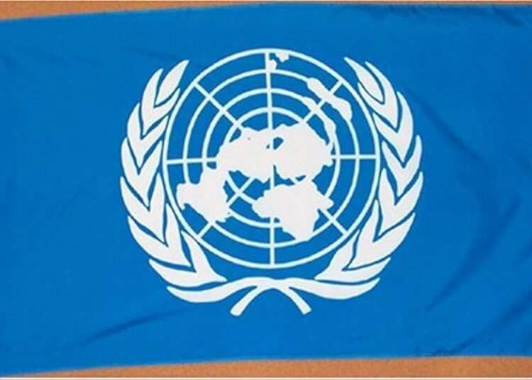 UN Demands Global Action to Aid Pacific Islands 1 UN